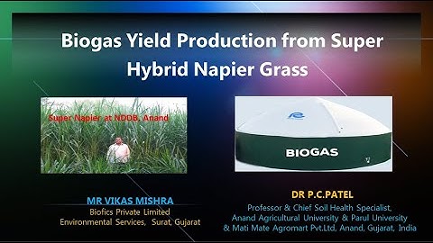 Biogas Yield Production from Super Hybrid Napier Grass by Dr.P. C. Patel and Vikas Mishra
