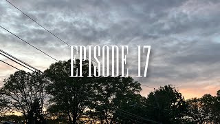 Training Log | Episode 17