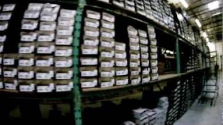 Introducing CheapSk8Shoes.com (Fly-By)