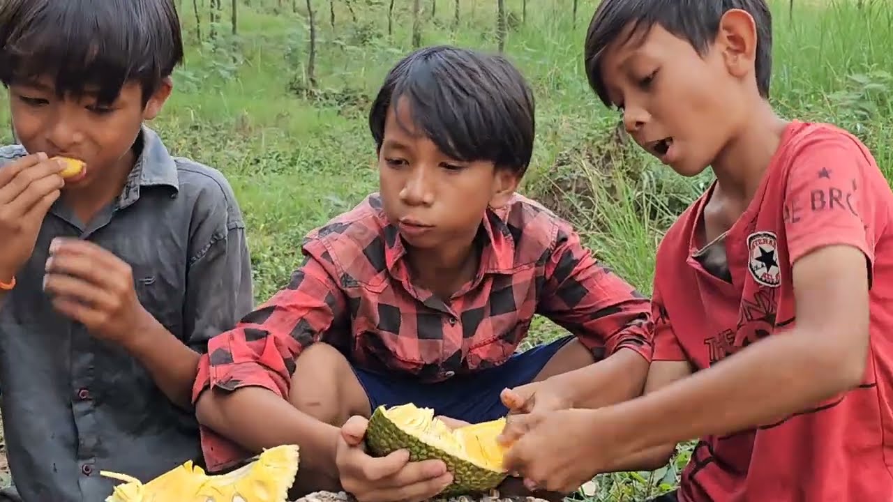 A Group of Kids Foraging for Natural Food with Their Pets.