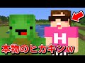 【ドッキリ】もしも初心者が本物のヒカキンさんだったらww【マインクラフト】【初心者のフリ】