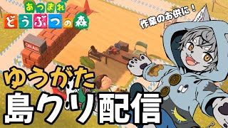 【あつまれどうぶつの森】島の西、住宅街をホテル仕様にしよう！～自分の島をレトロ遊園地にしたい～【雑談】#あつ森 #島クリエイト  #ゲーム実況 #vtuber