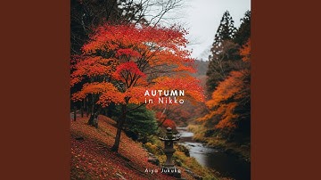 Chūzenji Reflections