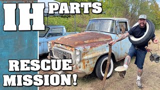 Parts scavenging for the 1959 International B100!