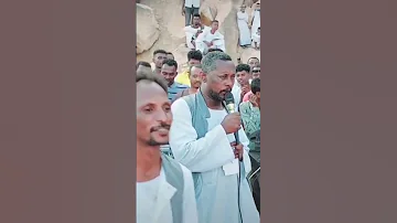 حيت فارس ود فارسوتات 