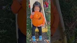 Pumpkin head photo shoot. Part 1