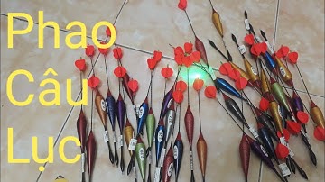 Phao câu lục đầu cần 2 trong 1,câu ngày đêm kết hợp vị trí nước sâu