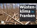 Klima wie in Jordanien: Frankens Kampf um das Wasser | Kontrovers | BR24