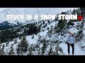 We got STUCK on the Icefields Parkway (Wilcox Pass + Wildlife Encounter)