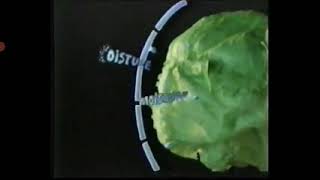 Ziploc Vegetable Bags 1995 Commercial