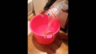 Ice Bucket Challenge