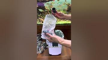 Lọc Thùng Cực Ngon Cho Bể Nhỏ - Giá Lại Siêu Tốt