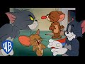 Tom \u0026 Jerry | Great Friends, Better Enemies | Classic Cartoon Compilation |@wbkids​