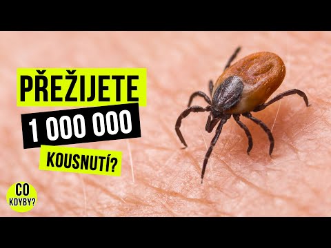 Video: Nejhorší Populace Blech A Klíšťat Prevalence Blech A Klíšťat