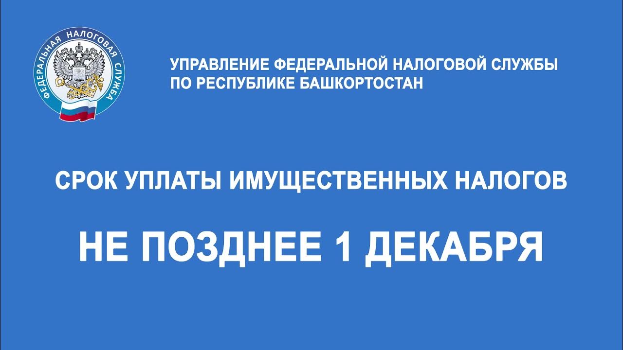 Срок уплаты 28 апреля 2025. Срок уплаты 28 апреля 2025