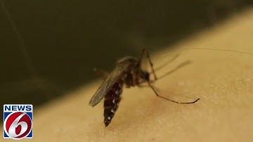 5 top-tested bug sprays, repellents of 2023