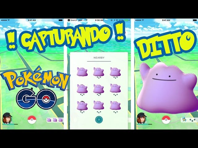 coordenadas de dittos en pokemon go septiembre 2023｜Búsqueda de TikTok