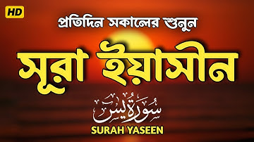 প্রতিদিন সকালে শুনুন সূরা ইয়াসীন | সকালের সেরা আমল ( سورة يس) Surah Yasin | By Zain Abu Kautsar