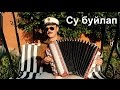 Татарская песня - Су буйлап на баяне