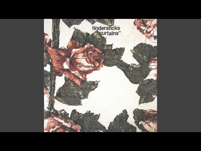 Tindersticks - The Fast One