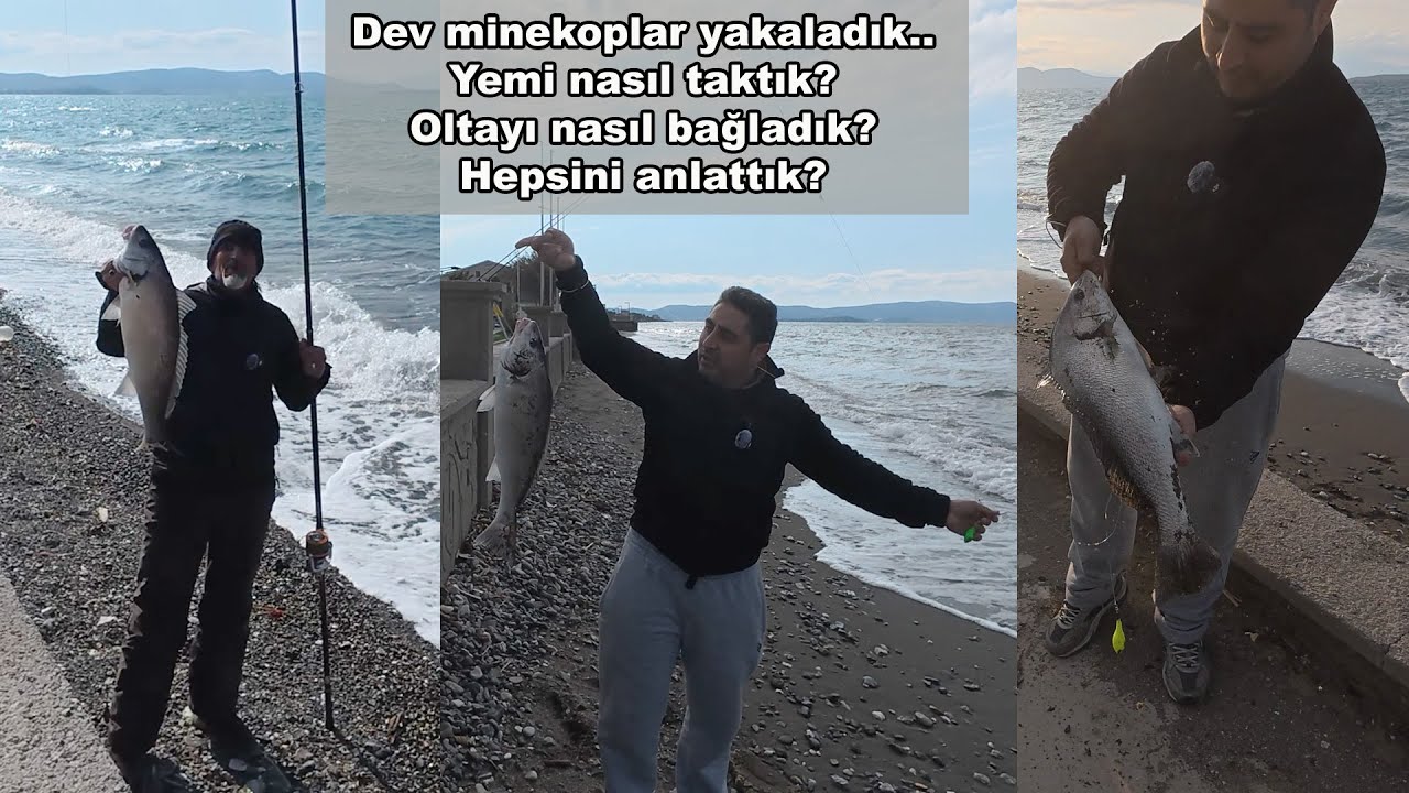 İzmir' de Dev Minekoplar Yakaladık. Mamunu ve Bibiyi nasıl taktık? Oltayı nasıl bağladık? Anlattık..