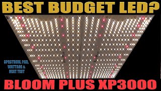 Best Budget LED? - Bloom Plus XP3000 PAR, Spectrum, Wattage & Heat Test