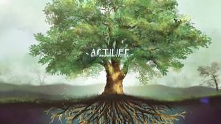 Famous ACTILIFE Profile