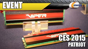 Patriot Memory, Storage, & Fuel Ion - Suite Coverage