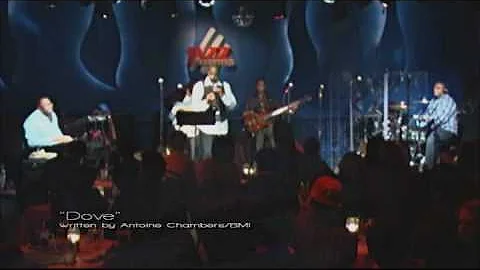 Harold Rayford EPK - I AM THE INSTRUMENT