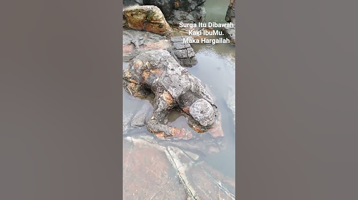Malin kundang si anak durhaka dikutuk menjadi batu malin kundang oleh Ibunya#shorts
