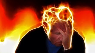 Atelier Probiotiques Anti Stress, Les Psychobiotiques Naturels