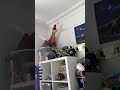 DINOSAUR FIGURE HALL 🦖