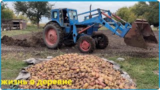 видео: ЛЮДИ ПЛАТЯТ ЗА ЭТО ДЕНЬГИ А в ДЕРЕВНЕ ОНО ПОД НОГАМИ, Рецепт мясных чипсов в термокамере Hobbi Smoke картинка: ЛЮДИ ПЛАТЯТ ЗА ЭТО ДЕНЬГИ А в ДЕРЕВНЕ ОНО ПОД НОГАМИ, Рецепт мясных чипсов в термокамере Hobbi Smoke