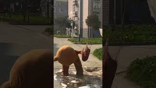 Funny Bear Man Shorts Bear