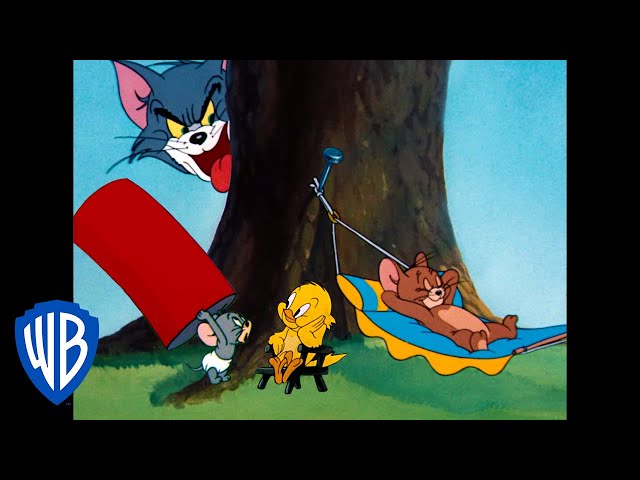 Tom & Jerry | Feeling Adventurous! | Classic Cartoon Compilation | WB Kids class=