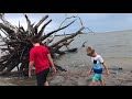 Boneyard Beach at Big Talbot Island