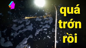 cắm câu cá lóc đầu mùa gió chướng trúng đậm @thuanhovlog