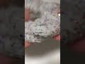 Crushed jelly cube ASMR #slime #slimeasmr #satisfyingslimevideo #slimemixing #slimevideos #gloss￼