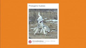 Newsrooms as authentic members of online communities – ONA17 Lightning Talk