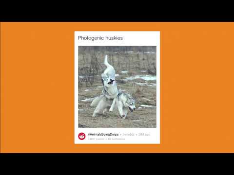 Newsrooms as authentic members of online communities – ONA17 Lightning Talk