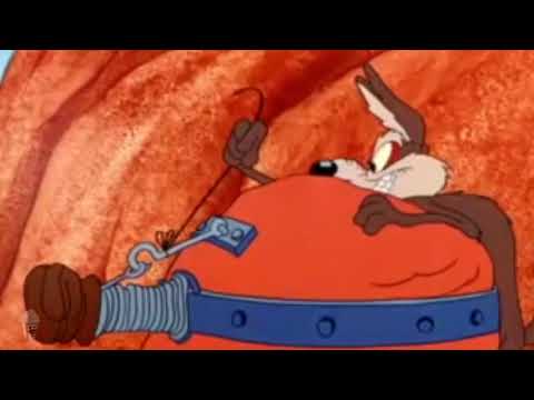 Roadrunner Meep Meep Moments