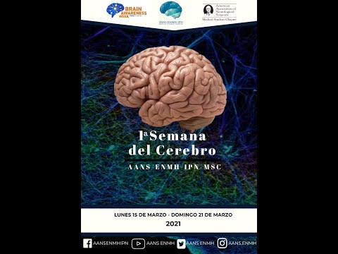 "La memoria y el cerebro ¿Cómo recordamos?-  Por Leo Eduardo Nuñez Ortiz.