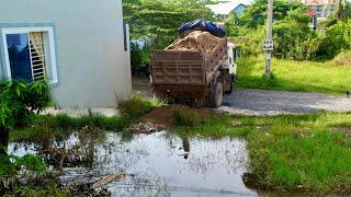 Perfect Start a New Project Size 9x16.m Skill D31P Dozer Push with Team Dump Trucks Work