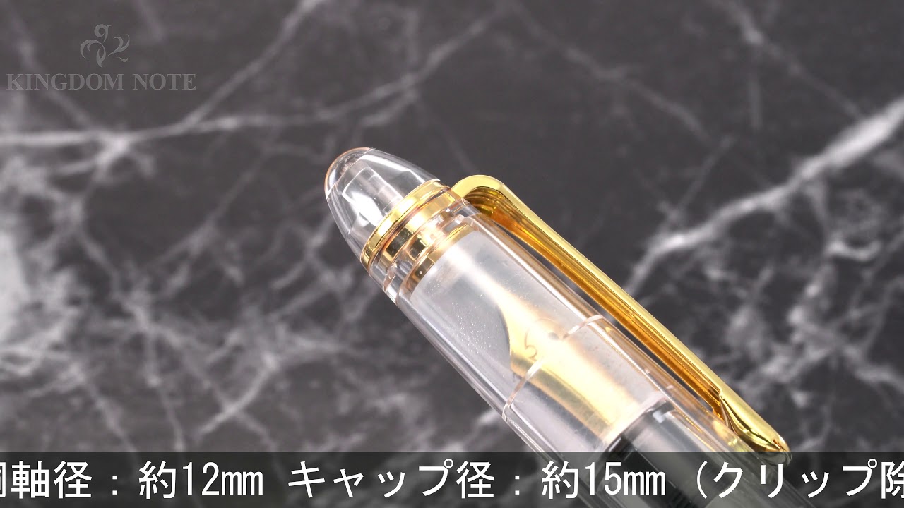 SAILOR セーラー 万年筆 ナガサワオリジナル プロフィット スケルトン 