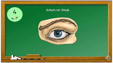 Welche Teile des Auges sind durchsichtig?