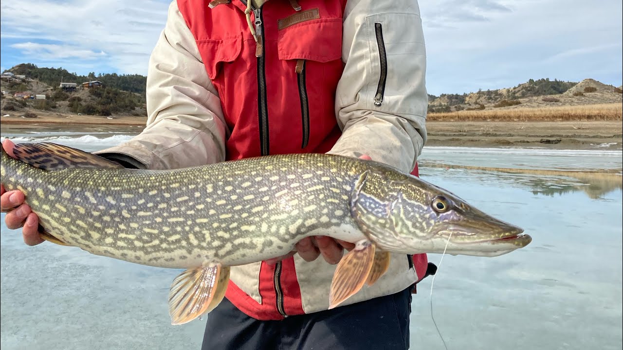 How to Ice Fish for Northern Pike | An ASMR Experience