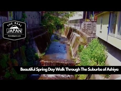 Beautiful Spring Day Walk Through The Suburbs of Ashiya, Hyogo Prefecture | The Real Japan