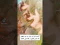اصغر قرموط فى العالم تم صيدو