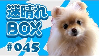 【迷晴れボックス#45】漂流から航海へ舵をとる。