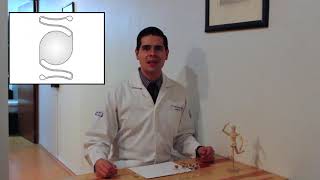 Daniel Espino Brambila-17